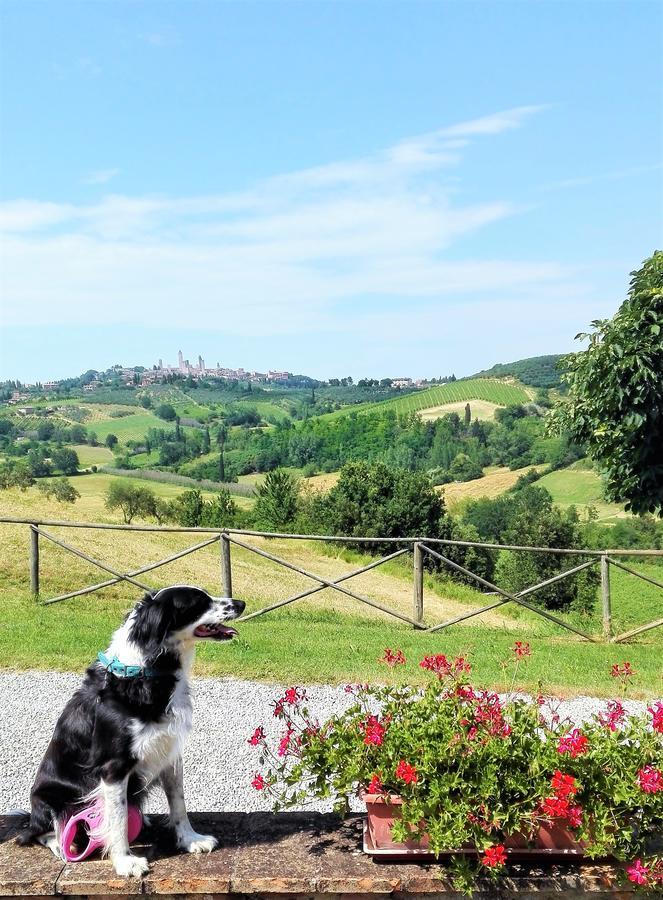 Agriturismo Poggiacolle San Gimignano Exterior photo